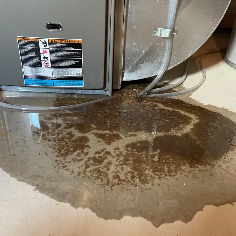 Appliance Leak Cleanup in Chatham County, GA